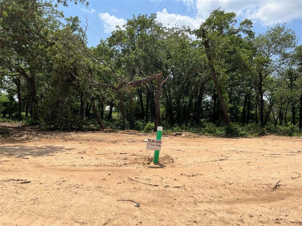 Plots and Land - 425 Peace Lily Way, Tolar, TX