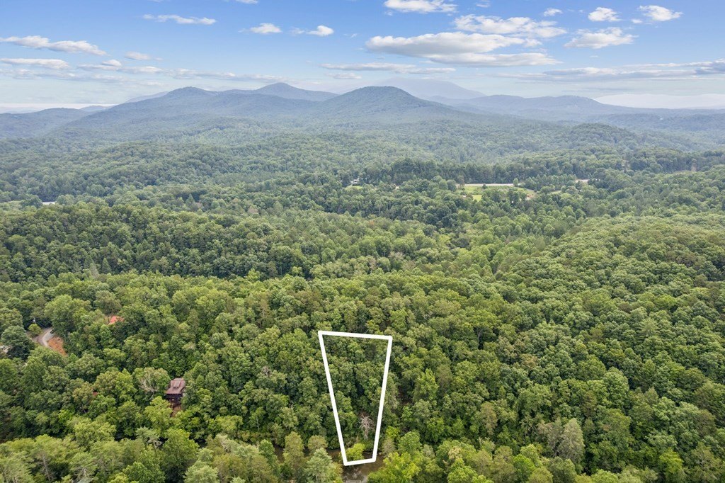 Other - Lot 4 Riverfront Drive, Ellijay, GA