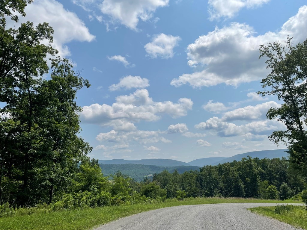 Lot 20 Hemlock Hls Rd  