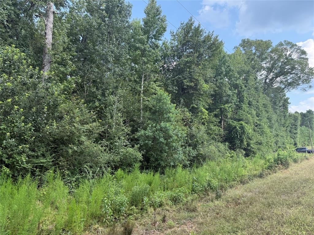 Plots and Land - 0 Best Road, Simsboro, LA