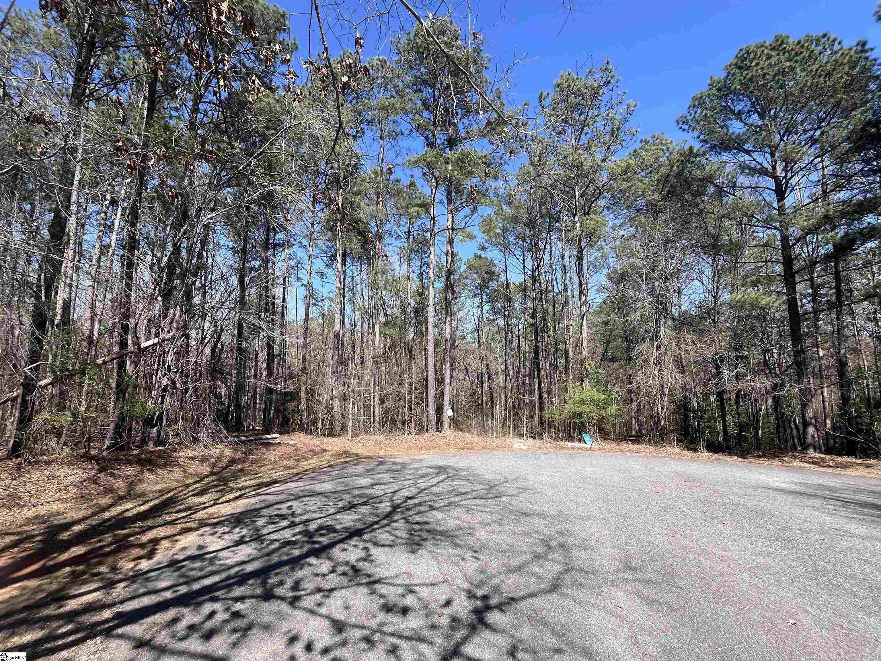 Other - Golden Hickory Drive, Anderson, SC