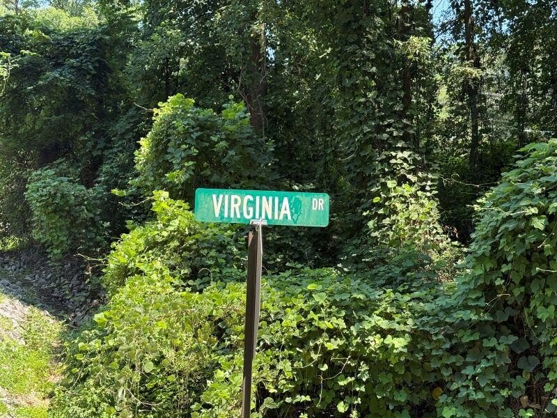 Single Family - Lot 34 Virginia Dr, Fulton, MS