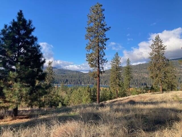 Other - 1351 LAKE ROOSEVELT WAY, KETTLE FALLS, WA