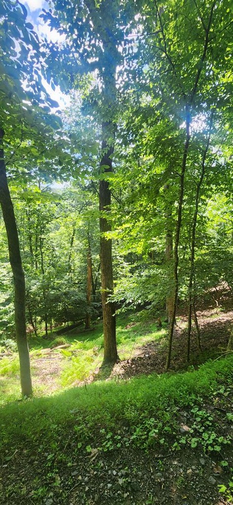 Other - Mohawk Trail lot: 209, Ellijay, GA