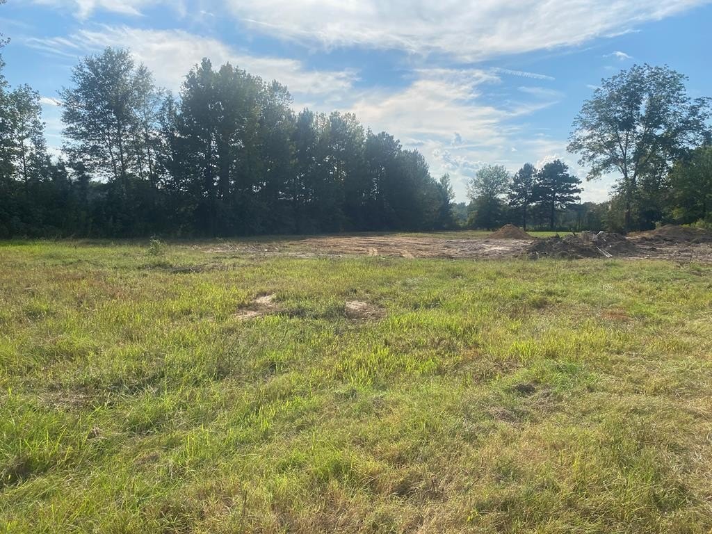 Other - 8720 Hwy 67 W, Simms, TX