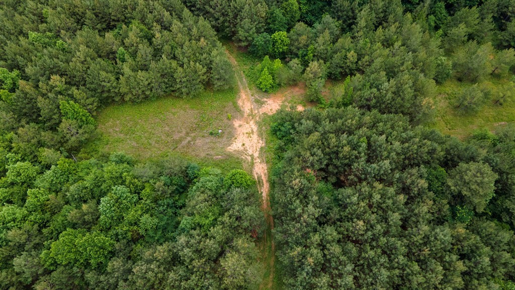 Other - State Highway 163 lot: 1, Calhoun, TN