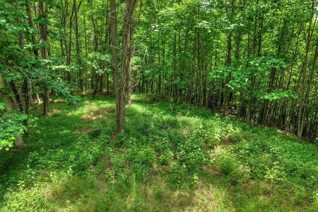 Other - 217 Catawba Drive, Mineral Bluff, GA