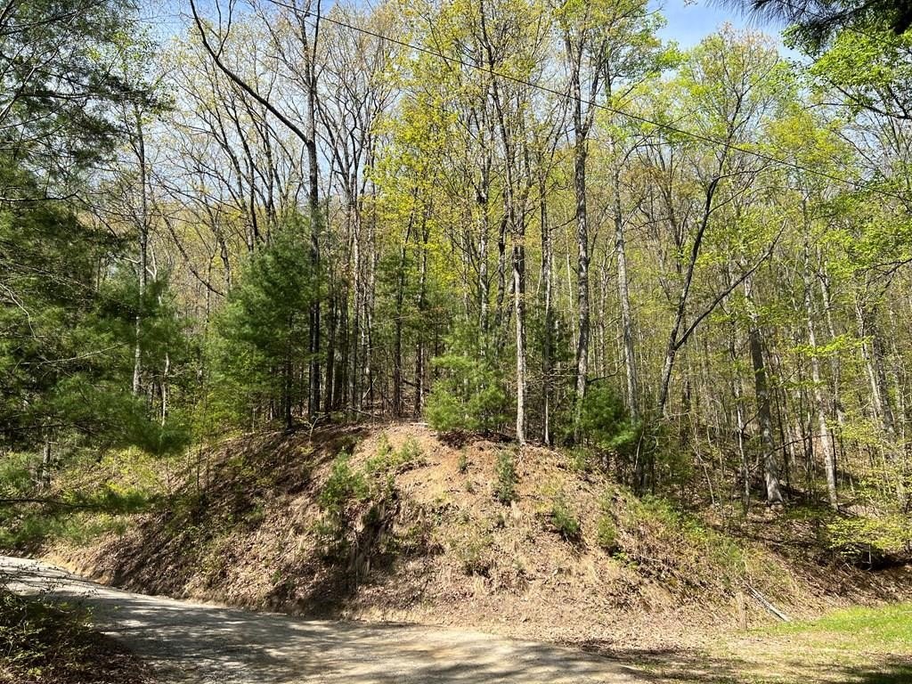 Other - Hidden Trail, Franklin, NC