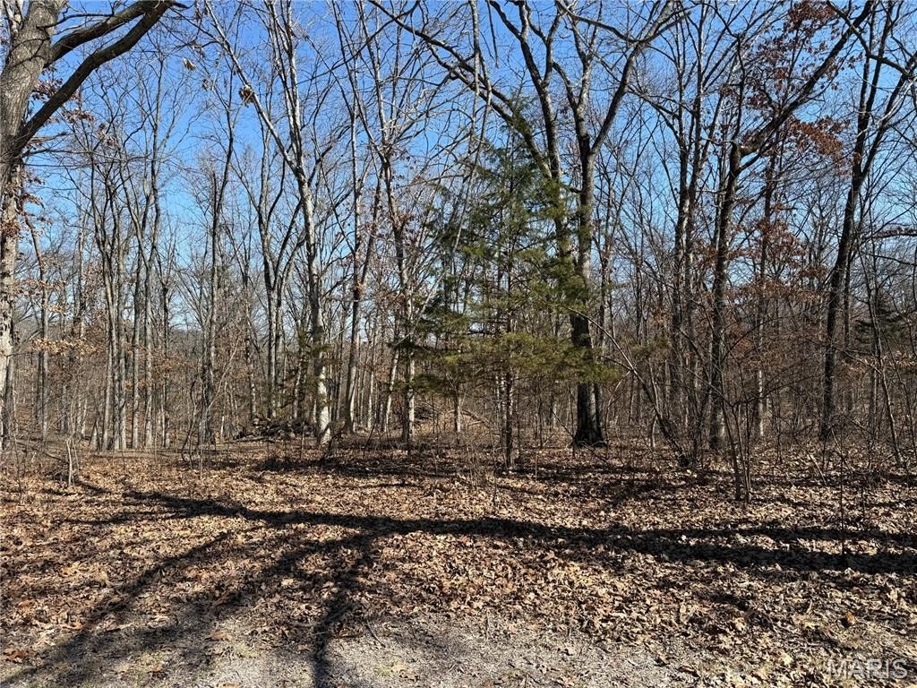 Other - Tbd Monroe Road 577, Stoutsville, MO