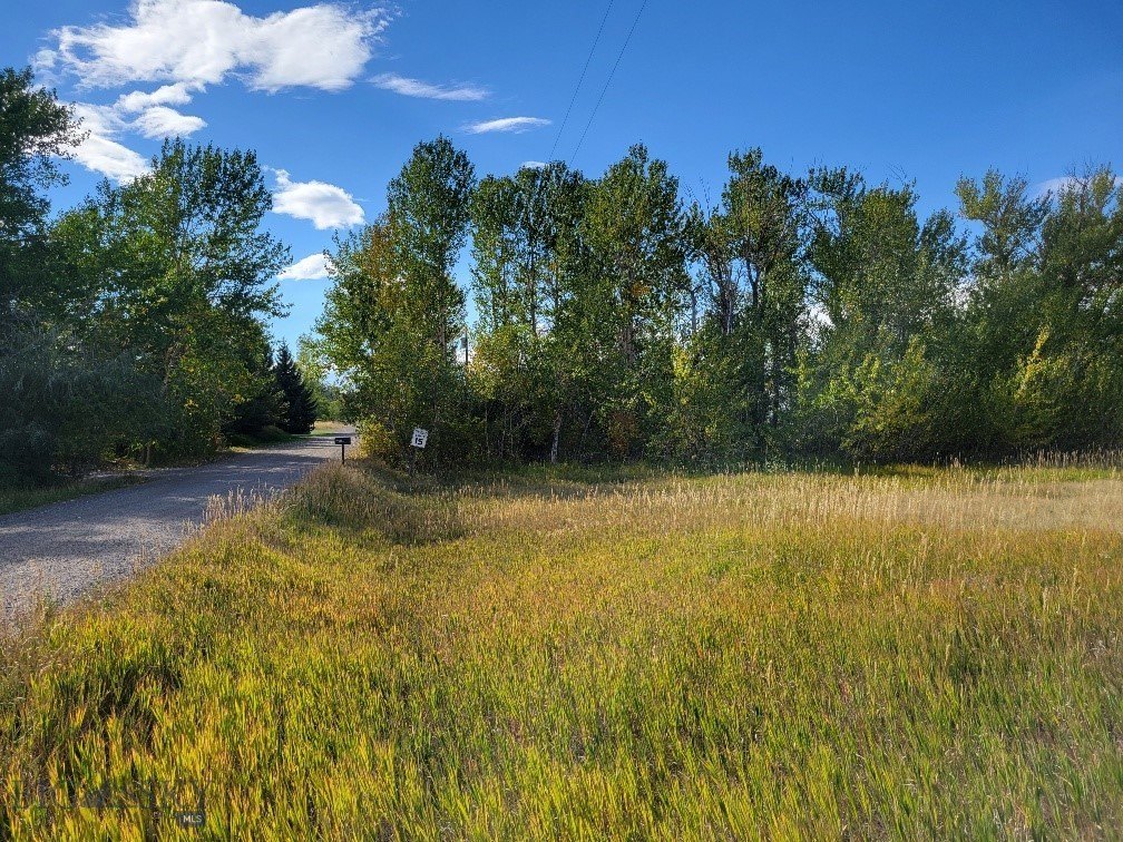 Other - Hyalite Canyon Road lot: 2, Bozeman, MT