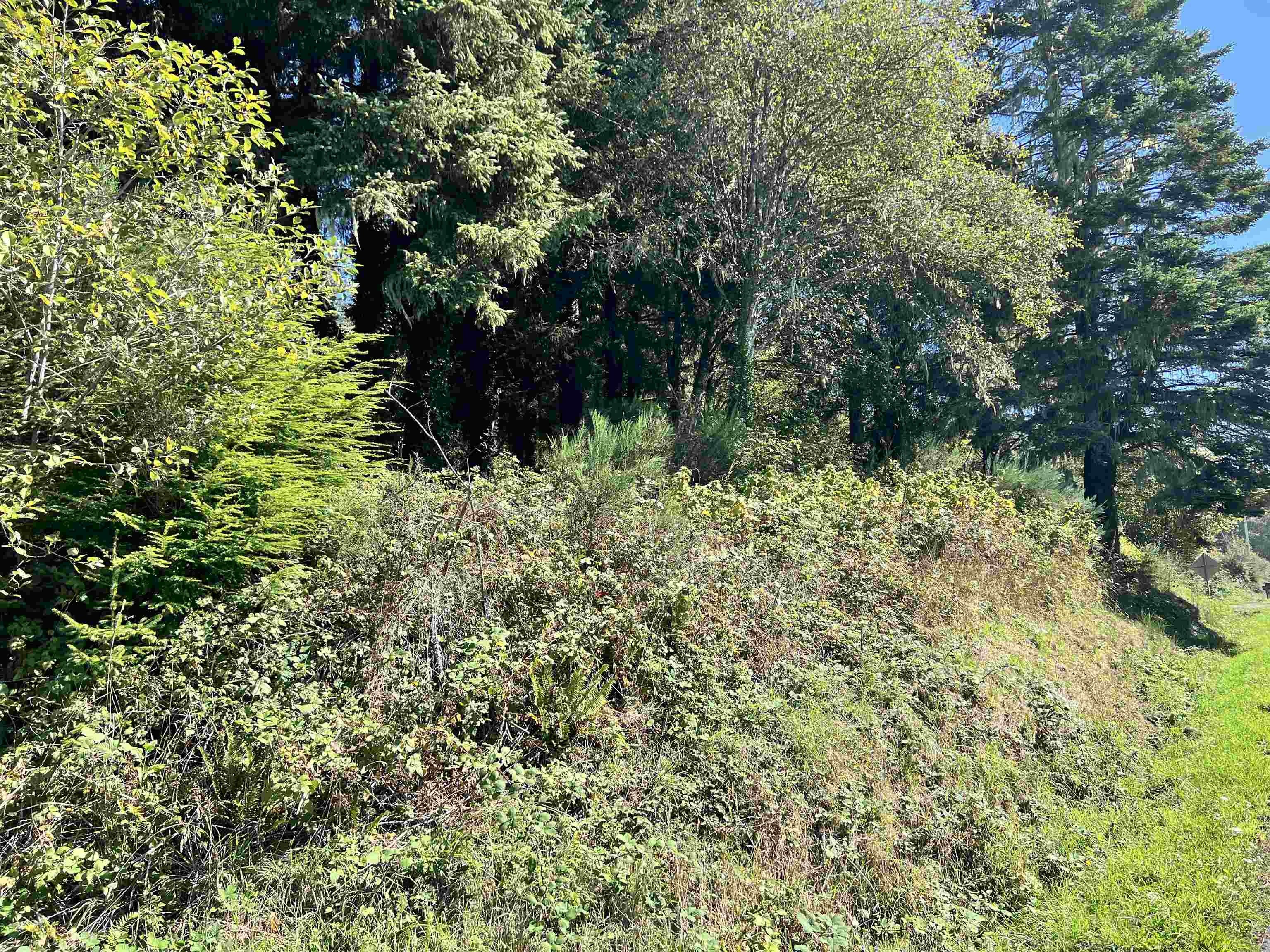 Single Family - 00000 Oceanview, Smith River, CA