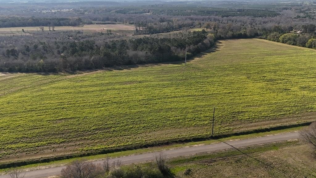 Single Family - Lot 6 Gilley Mill Road, Headland, AL
