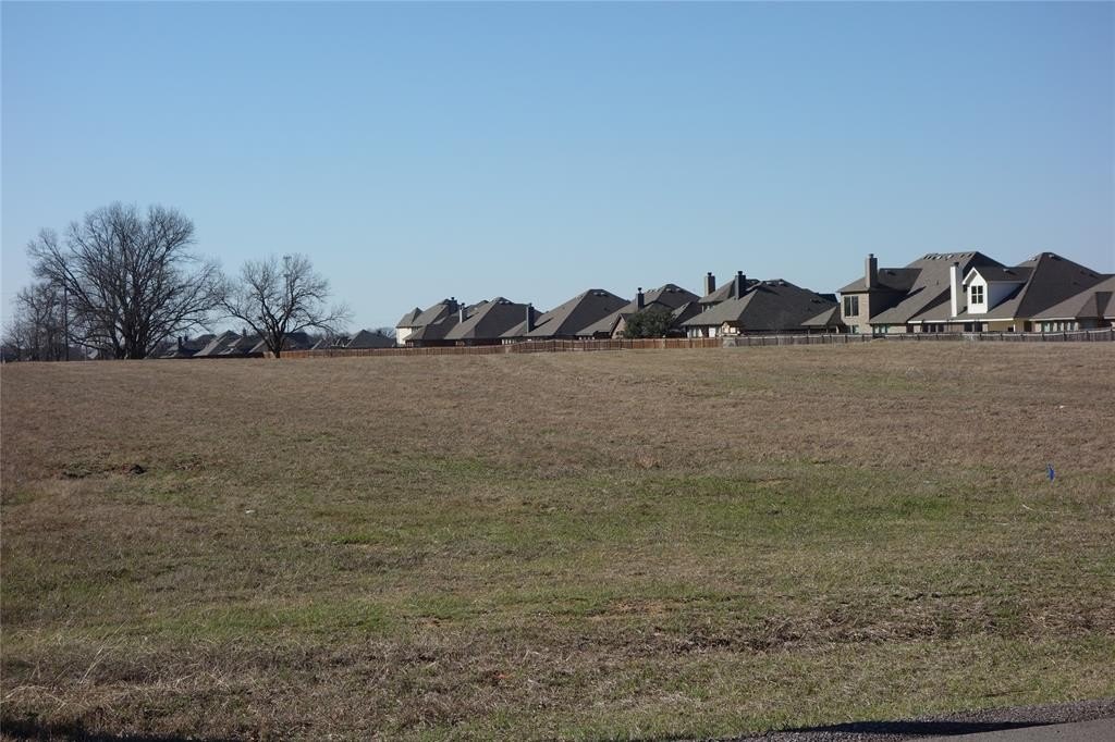 Other - Lot 3 Moura Court, Joshua, TX