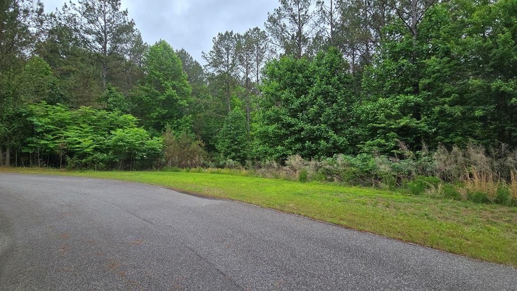 Other - Lot 43 Loftis Mountain Way, Blairsville, GA