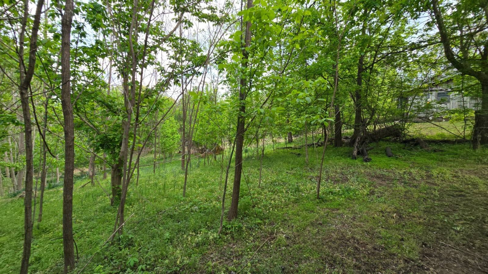 Other 2BR 1BA - 5490 Old Paris Murray Rd, Paris, TN