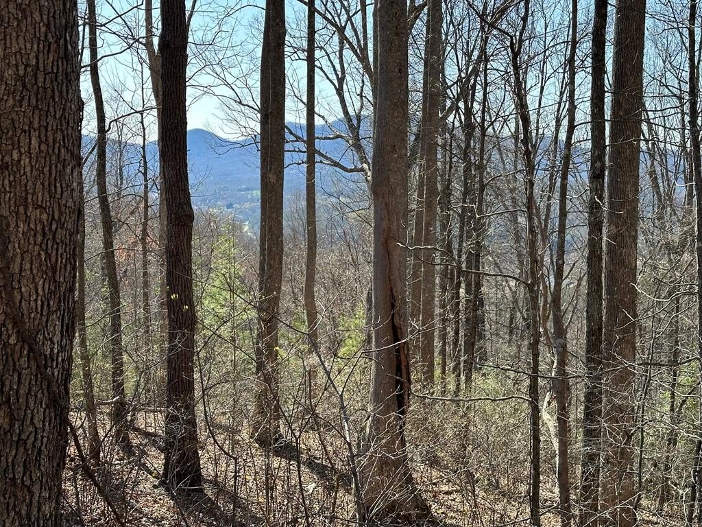 Other - Lot 80 Asheland Cove, Young Harris, GA