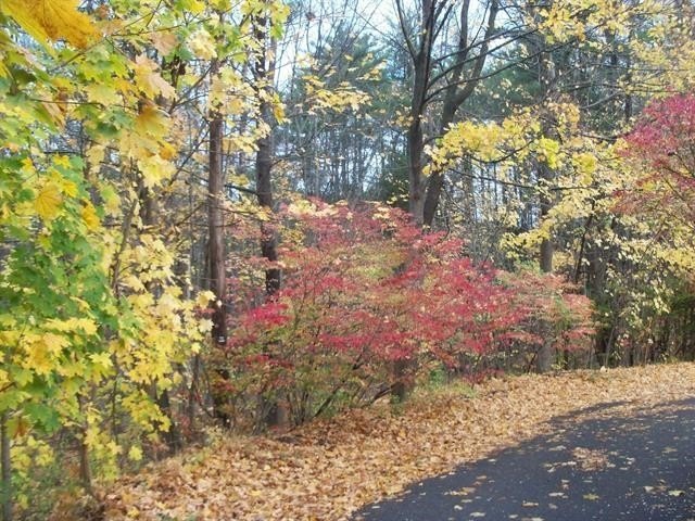 Other - Sanborn Street, Laconia, NH