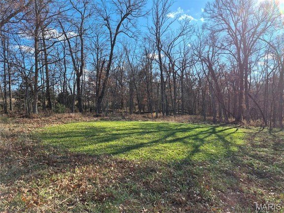 Plots and Land - 0 County Road 197 - Tract 9 (16+/- Acres), Williamsburg, MO