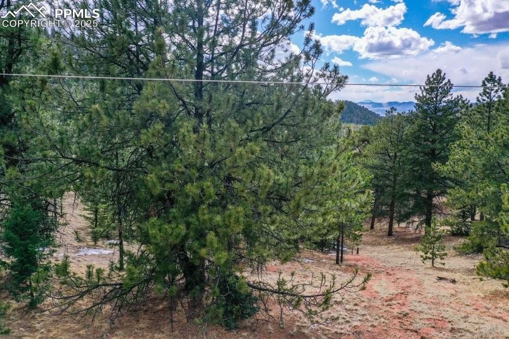 Other - 395 WABASH Terrace, Cripple Creek, CO