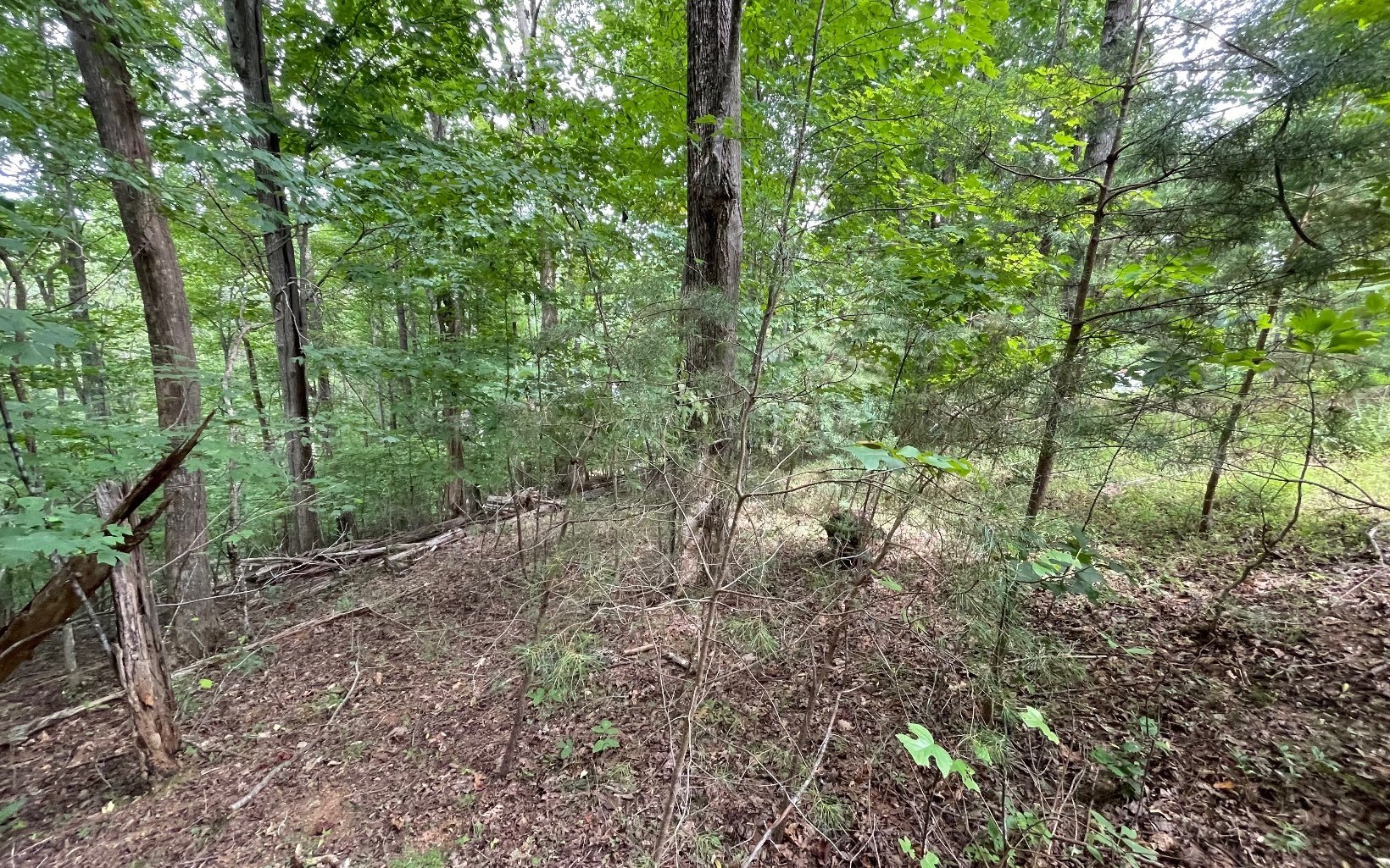 Other - Lot 3 Morgan Creek, Ph Ii, Young Harris, GA