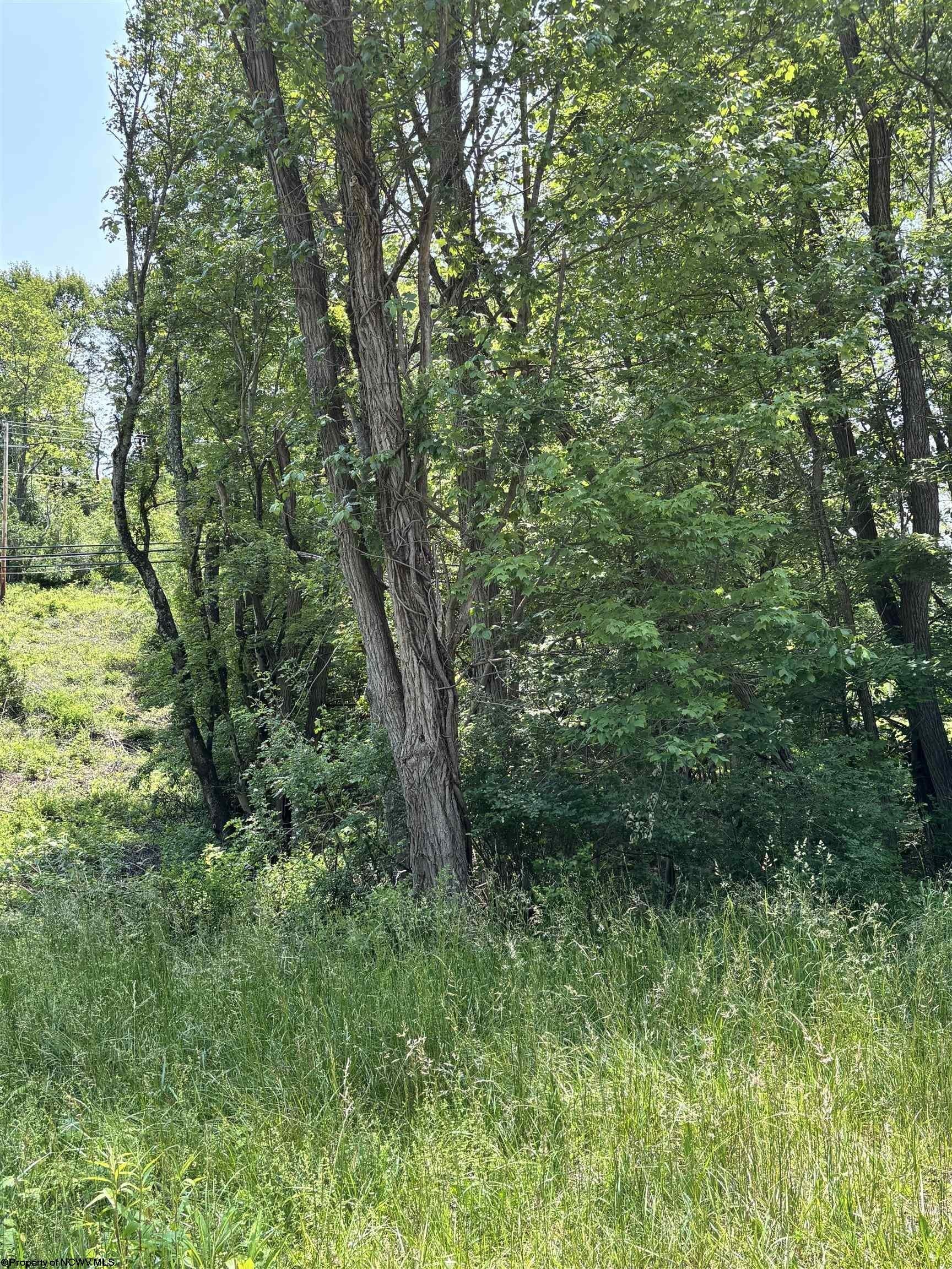 Other - LOT 4 Barbour County Highway, Philippi, WV