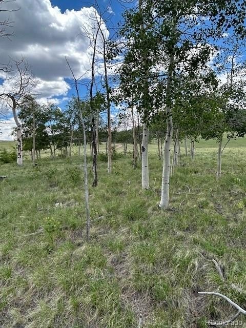 Plots and Land - 807 Bolster Drive, Hartsel, CO