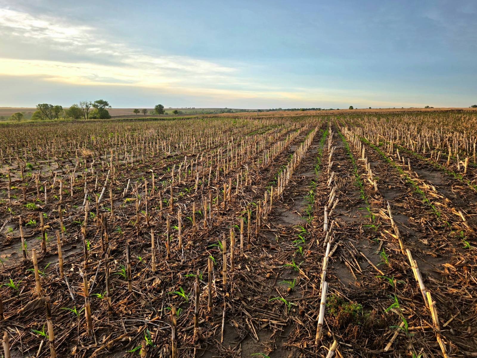 Other - TBD W 50th Dr, Alton, KS