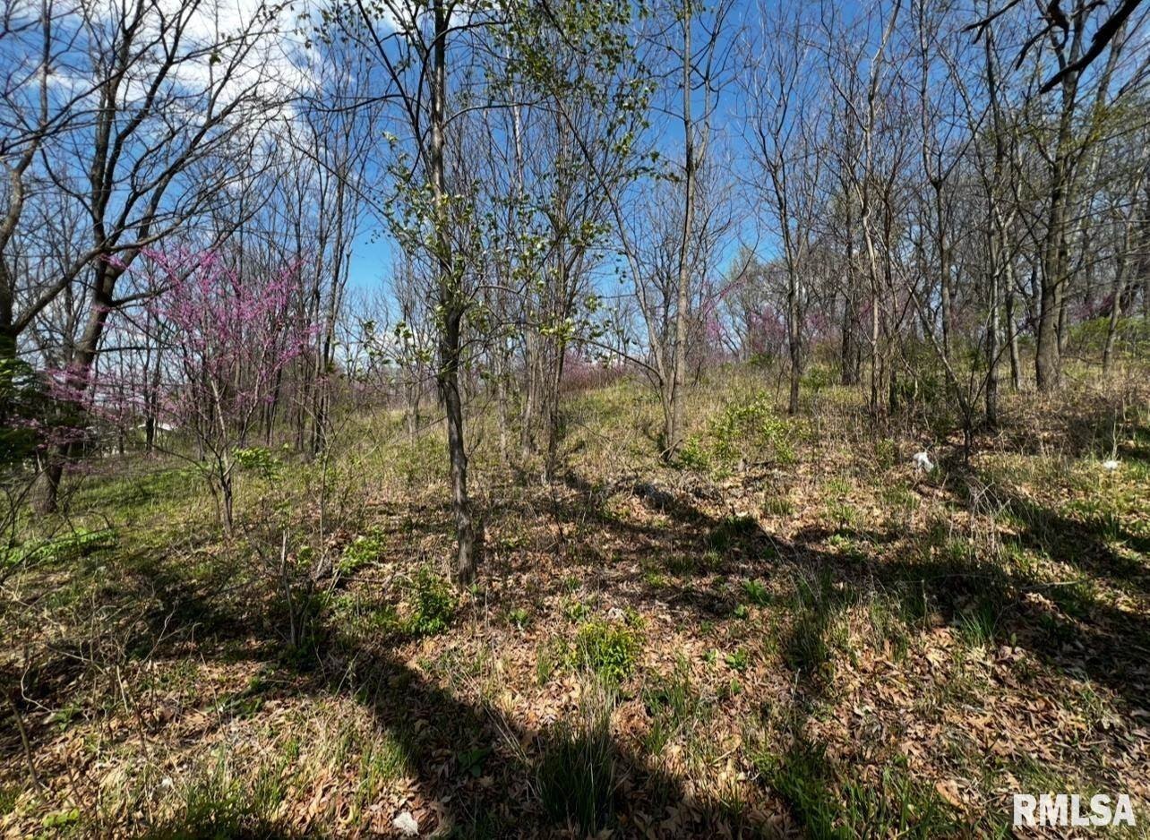 Other - LOT 201 James Street, Port Byron, IL