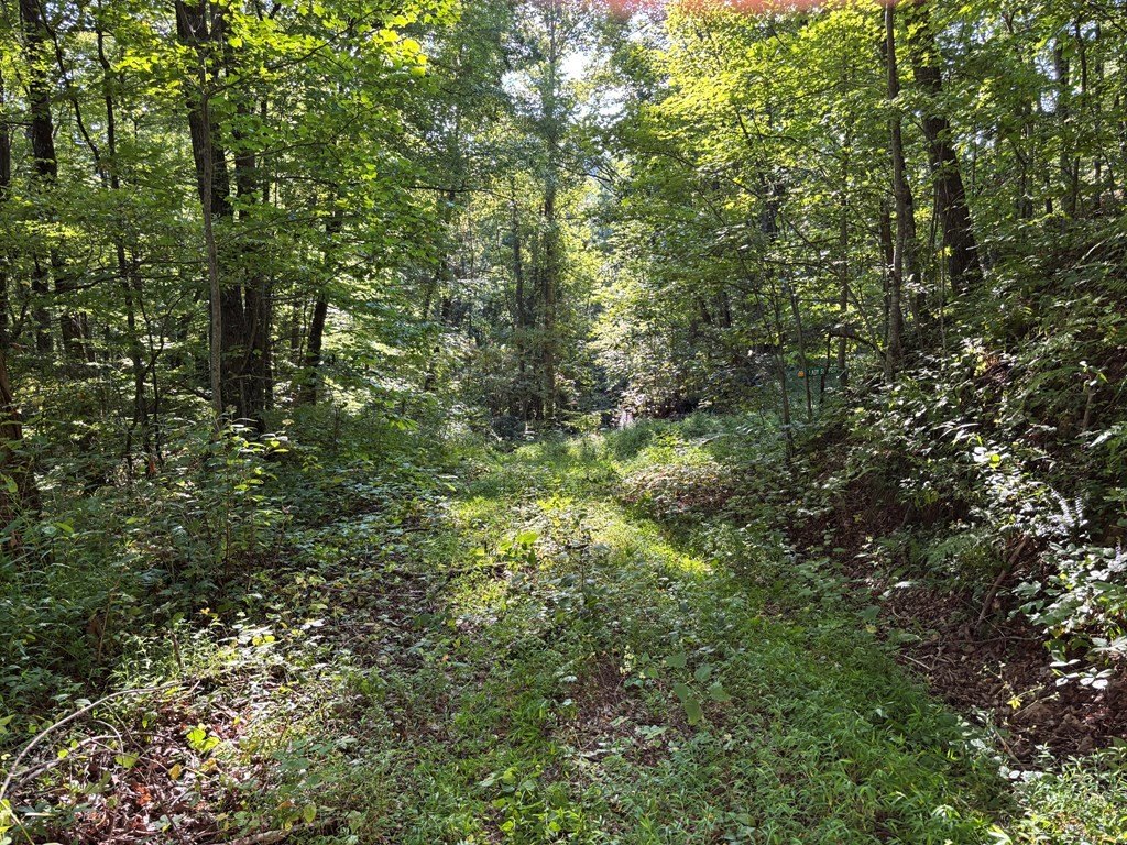 Other - 1111 Canopy Lane, ROBBINSVILLE, NC