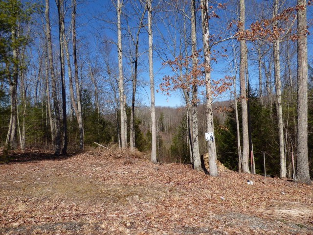 Other - 181 ST. THOMAS LANE, DANIELS, WV