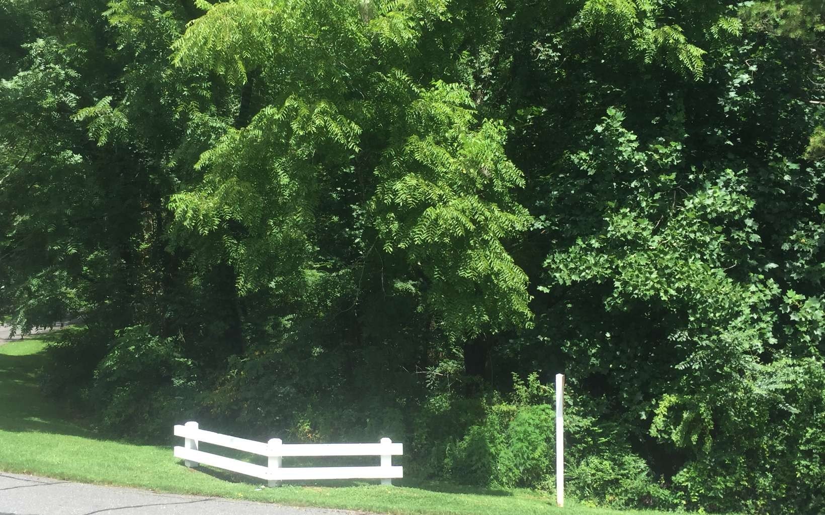 Other - 2 & 3 Chatuge Village Drive, Hayesville, NC