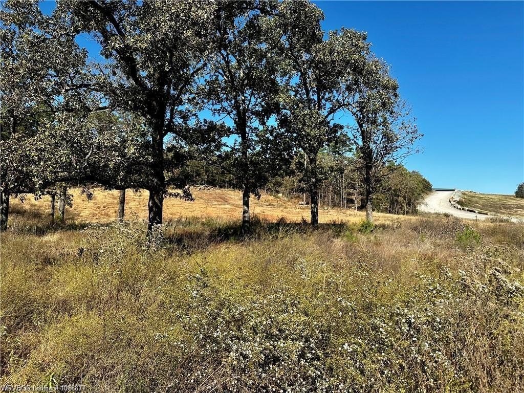 Other - N/A Caston School, Wister, OK