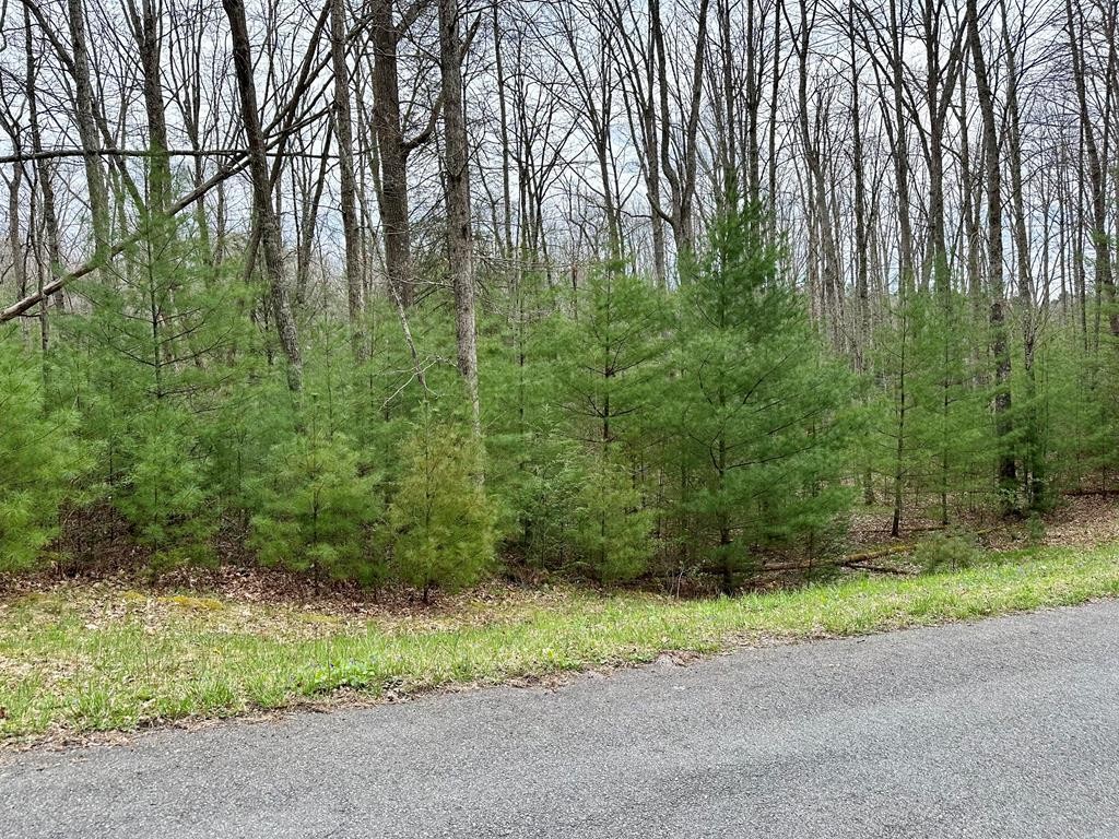 Other - BRANCHWOOD LANE, DANIELS, WV