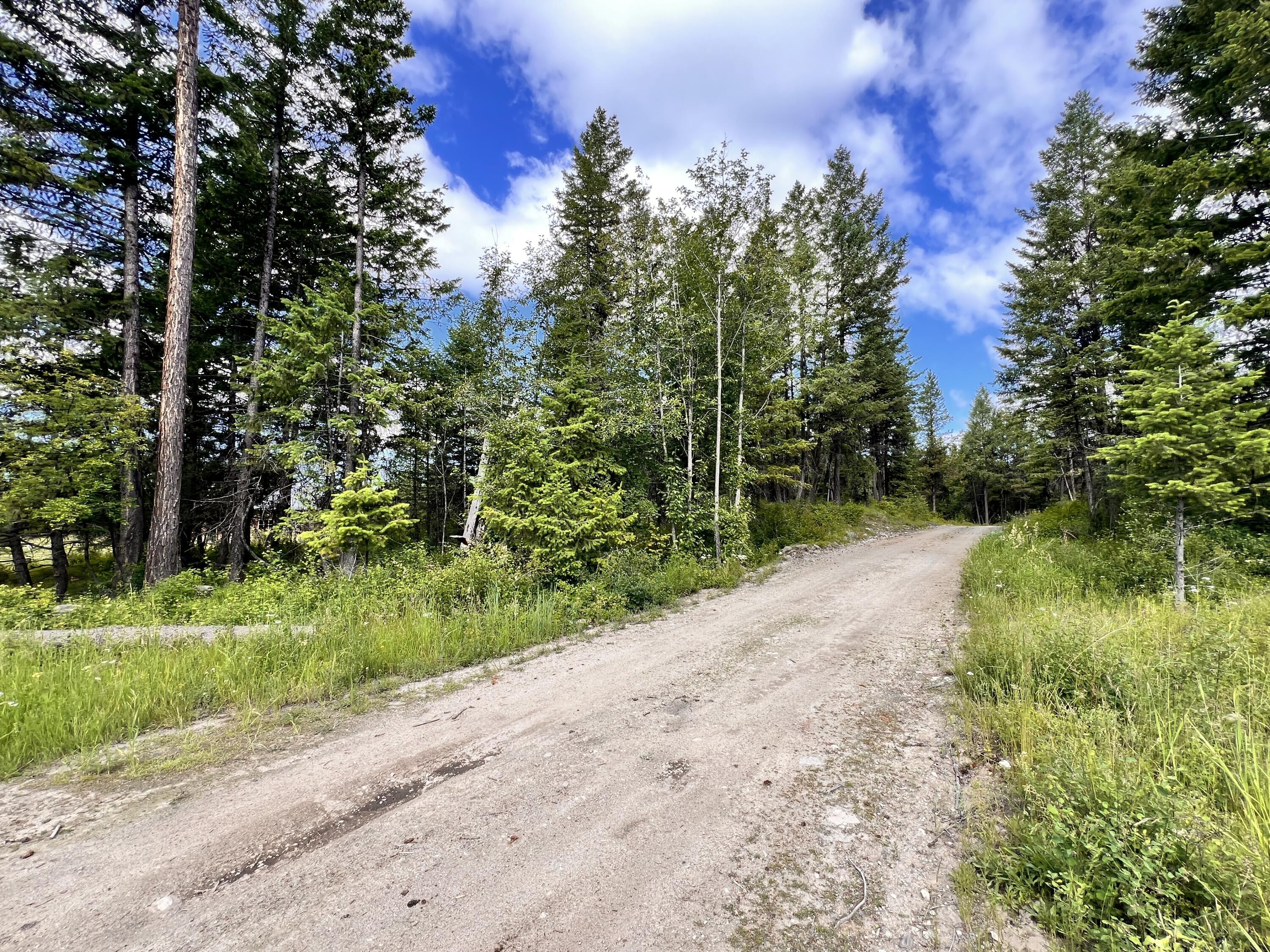Single Family 1BR - 177 FIRST CREEK RD, CURLEW, WA