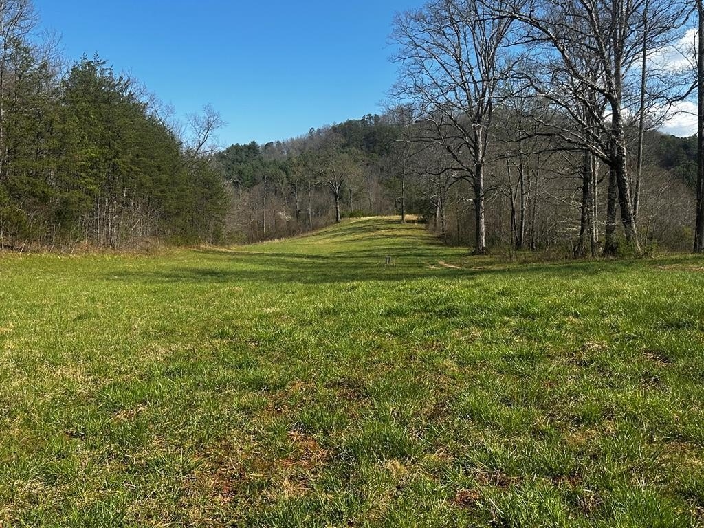 Other - Georgia Rd, Otto, NC