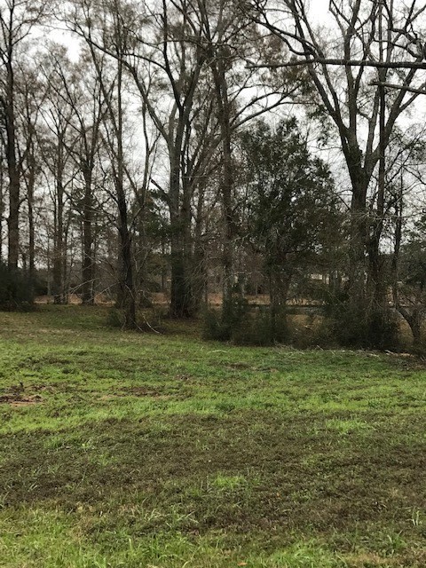 Single Family - 0 Whispering Lane   Lot 48, Poplarville, MS