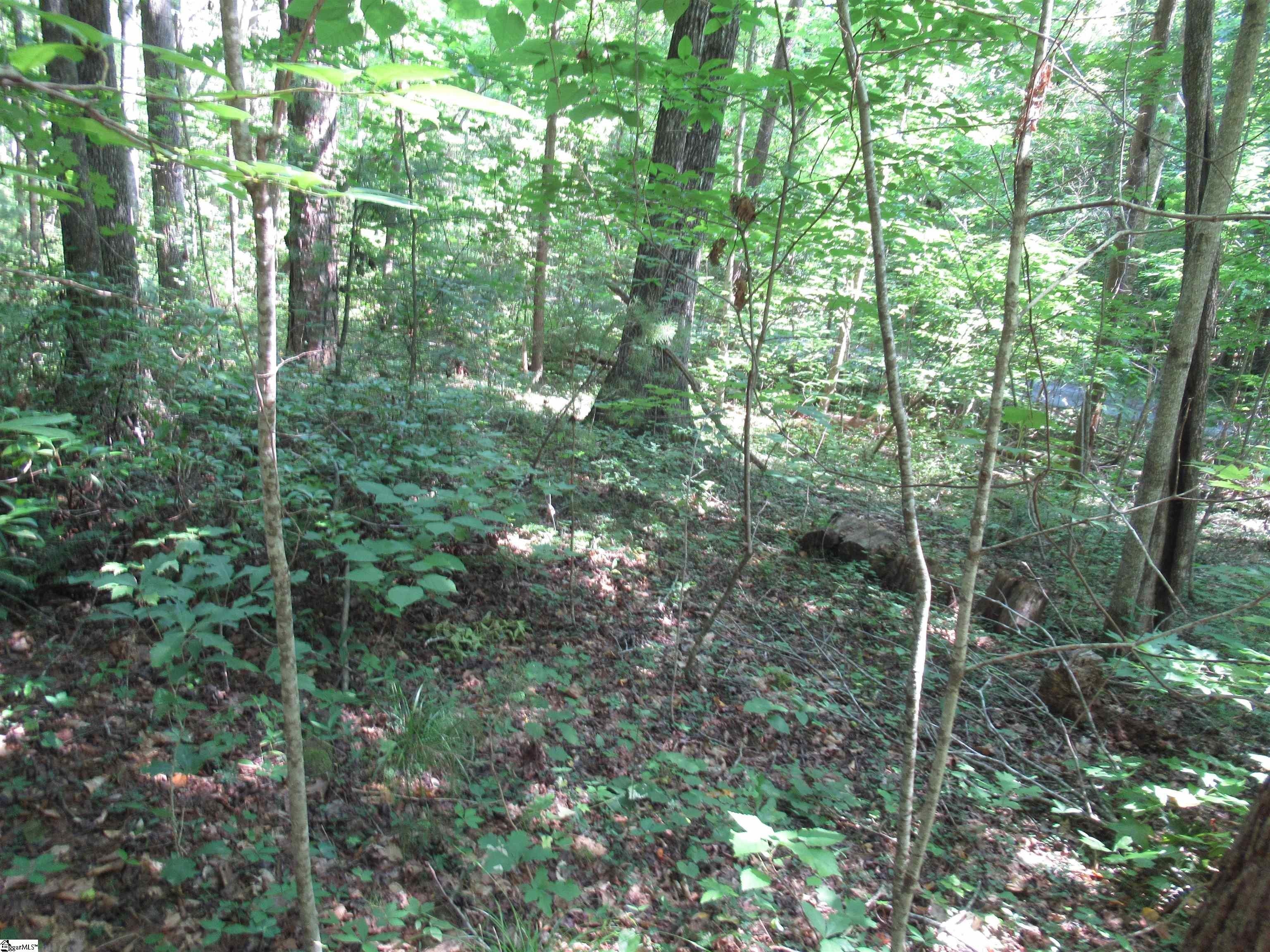Other - Gauley Falls Road lot: 13 Gauley Falls, Pickens, SC