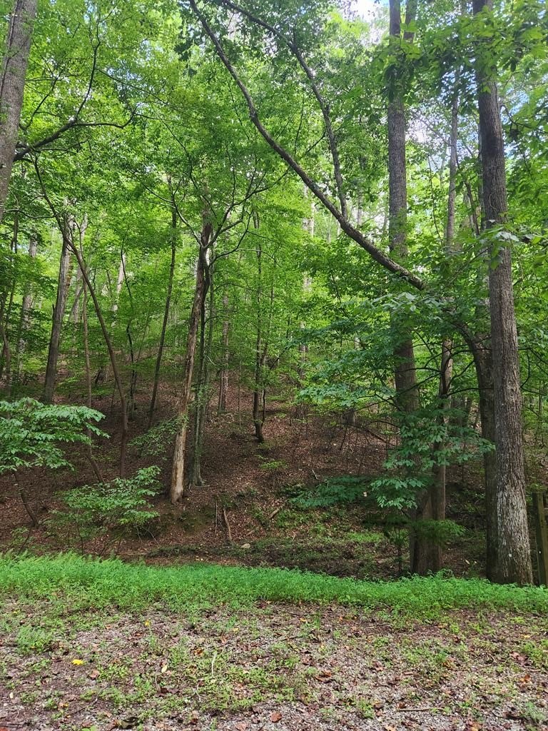 Other - Lot 133 Shiloh Court, Ellijay, GA