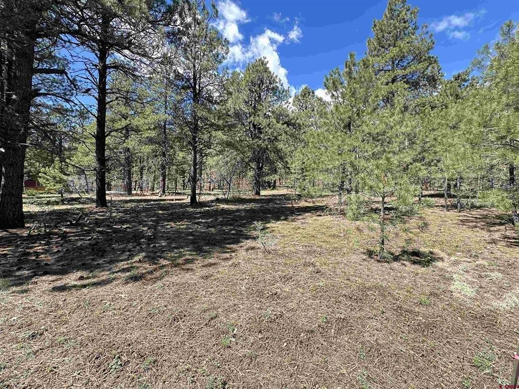 Other - 39 W Nebo Court, Pagosa Springs, CO