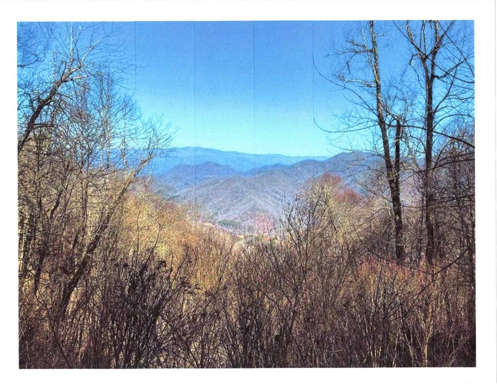 Other - 33 Butterfly Path lot: 33, Bryson City, NC