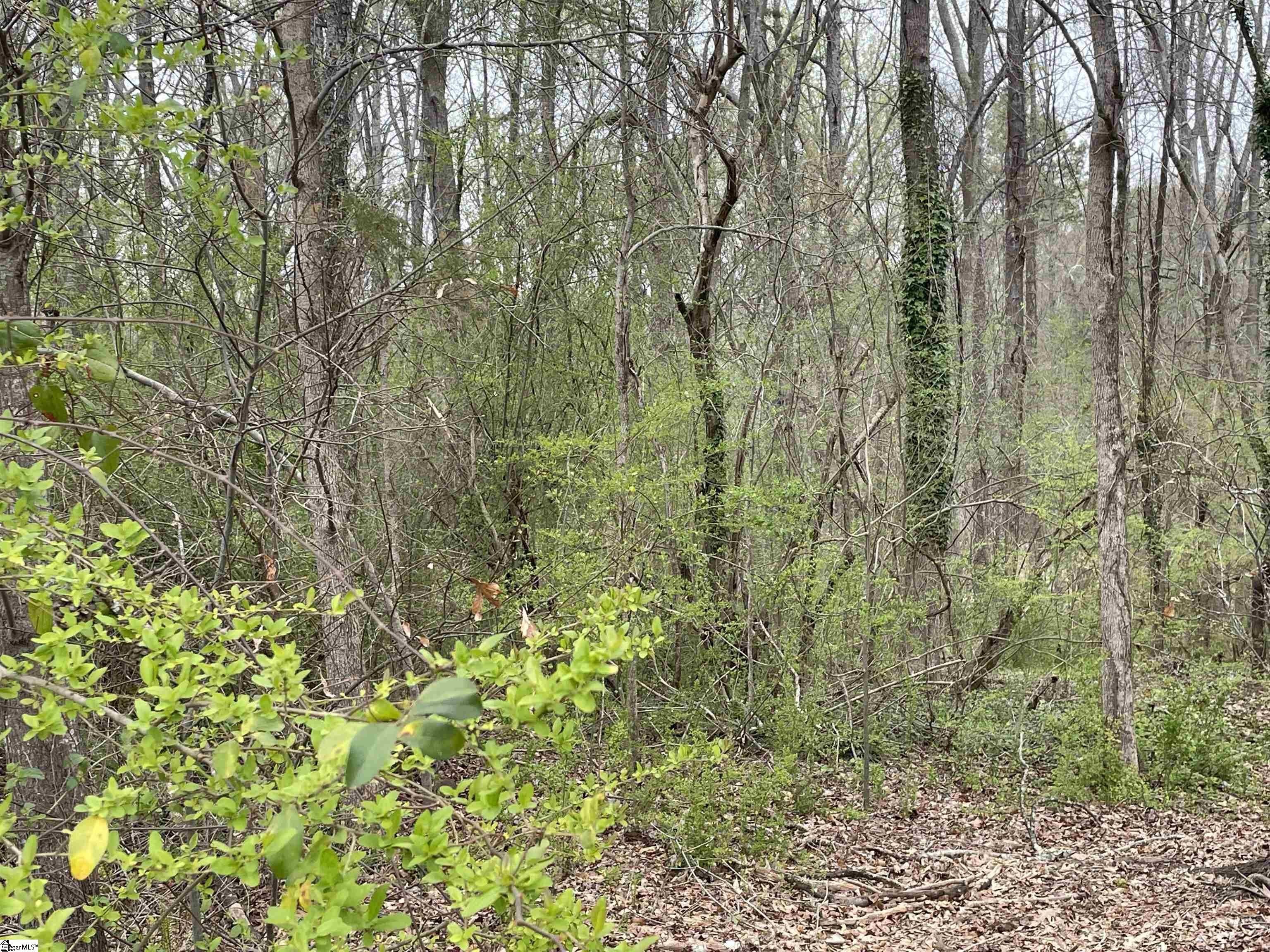 Other - Highway 146, Simpsonville, SC