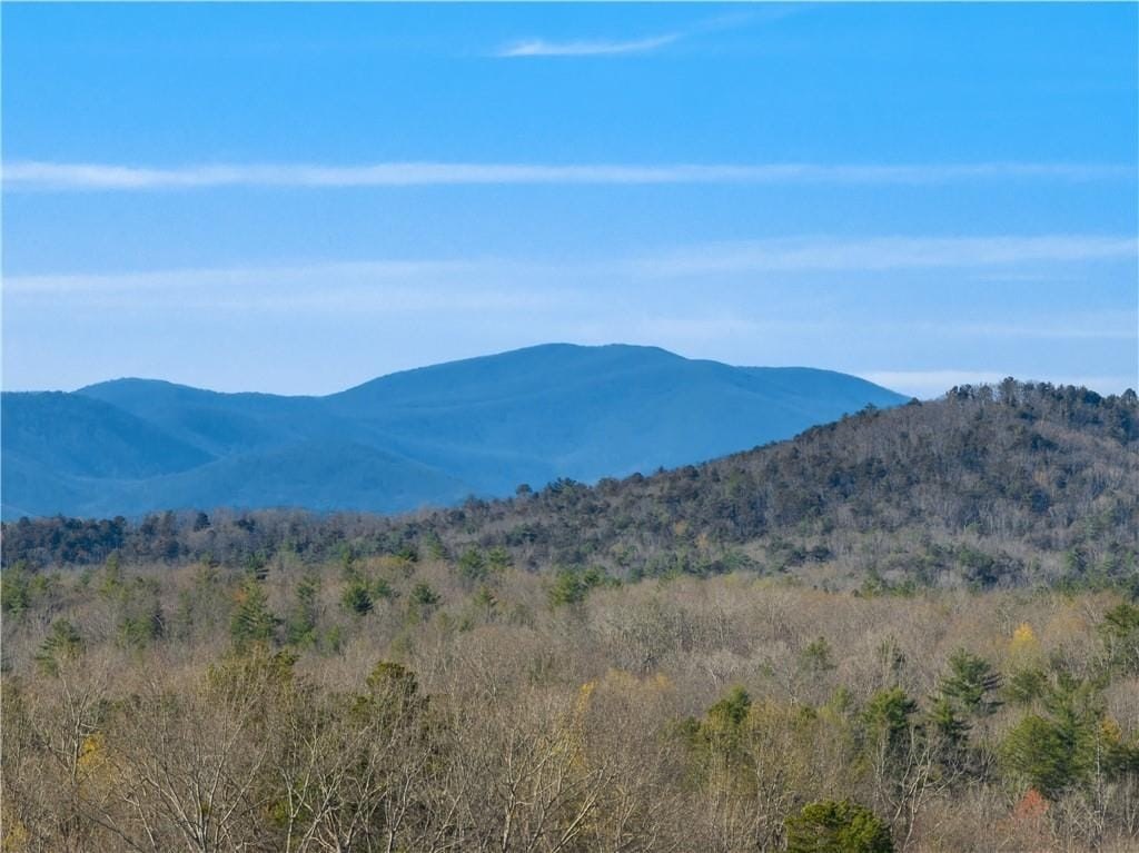 Other - 0 Mill Run, Sautee Nacoochee, GA