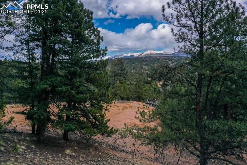 Other - 102 Blue Bell Circle, Cripple Creek, CO