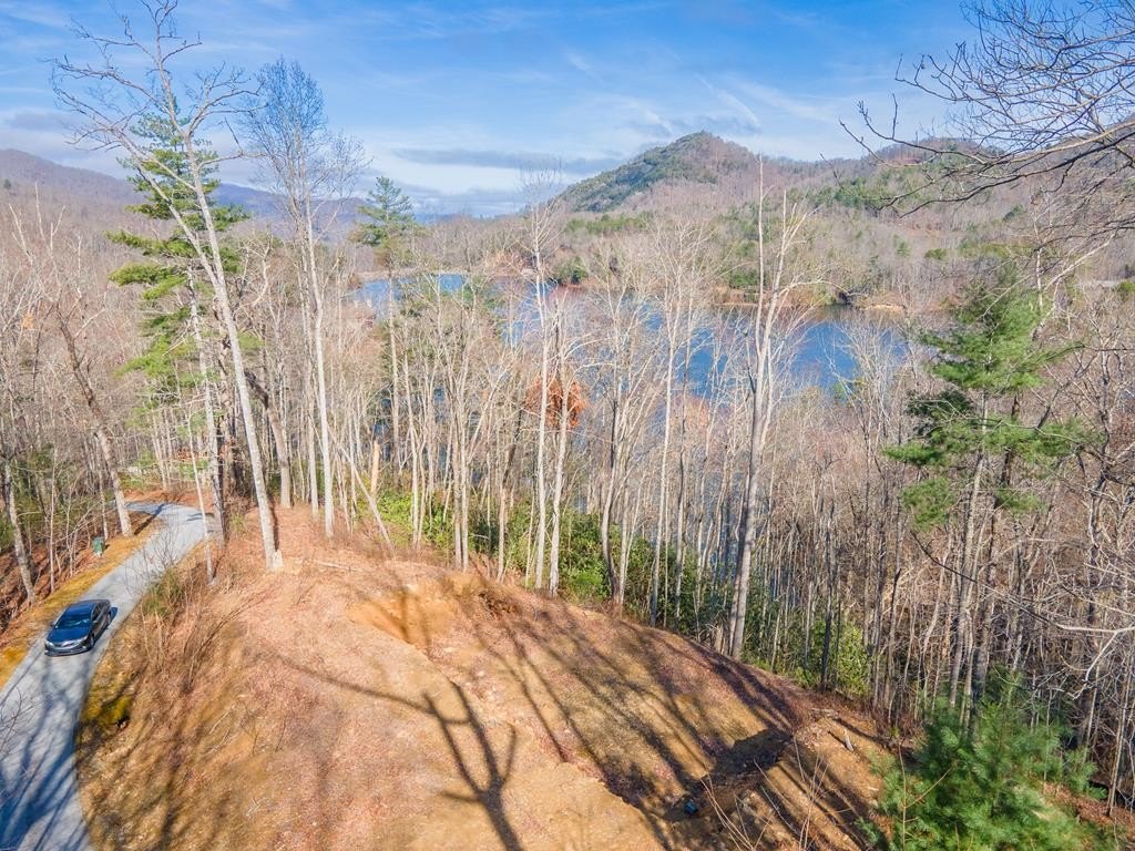 Other - Mandolin Court lot: 156, Tuckasegee, NC