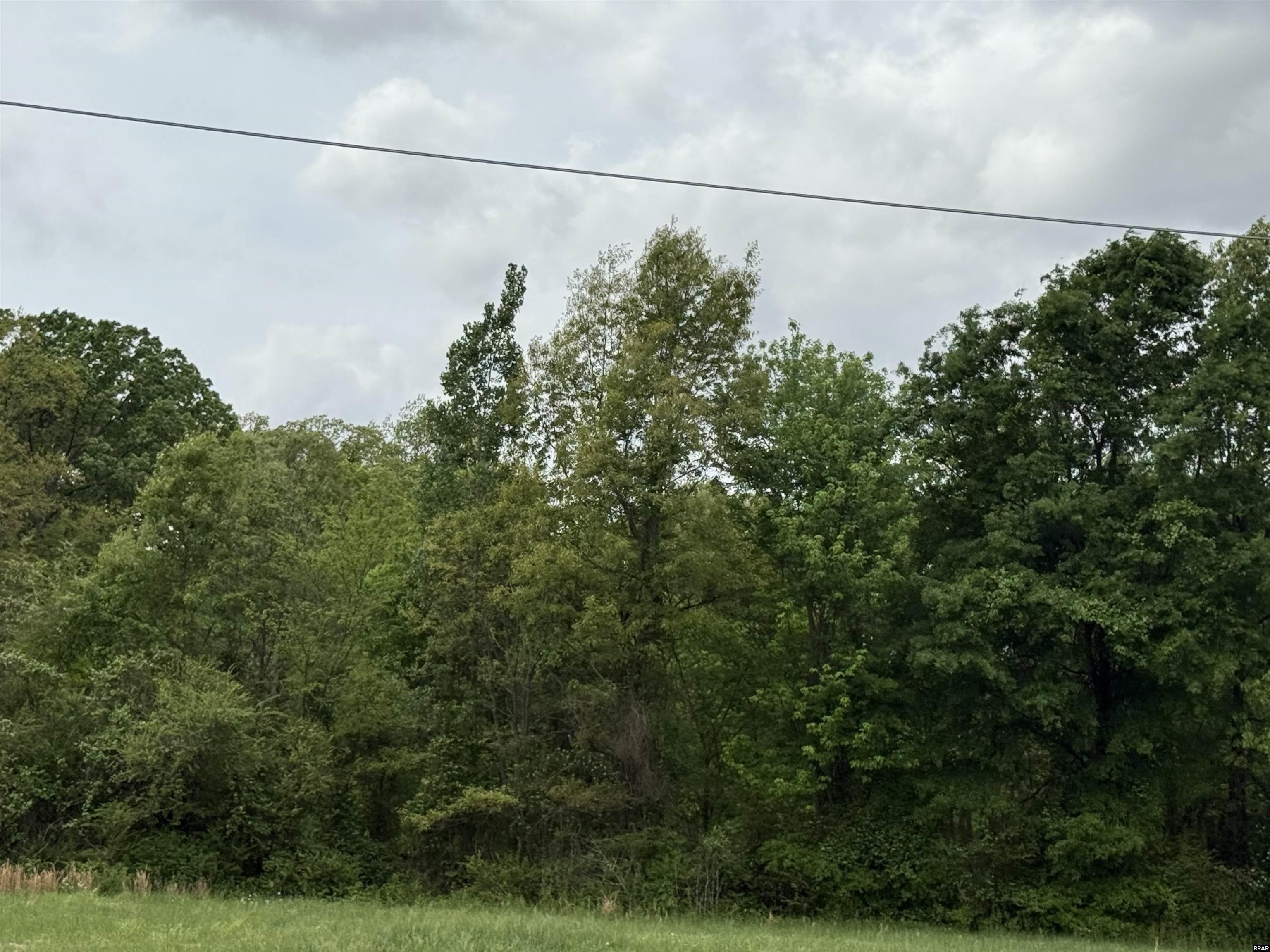 Other - 15 Walnut Extended Street, Dyer, TN
