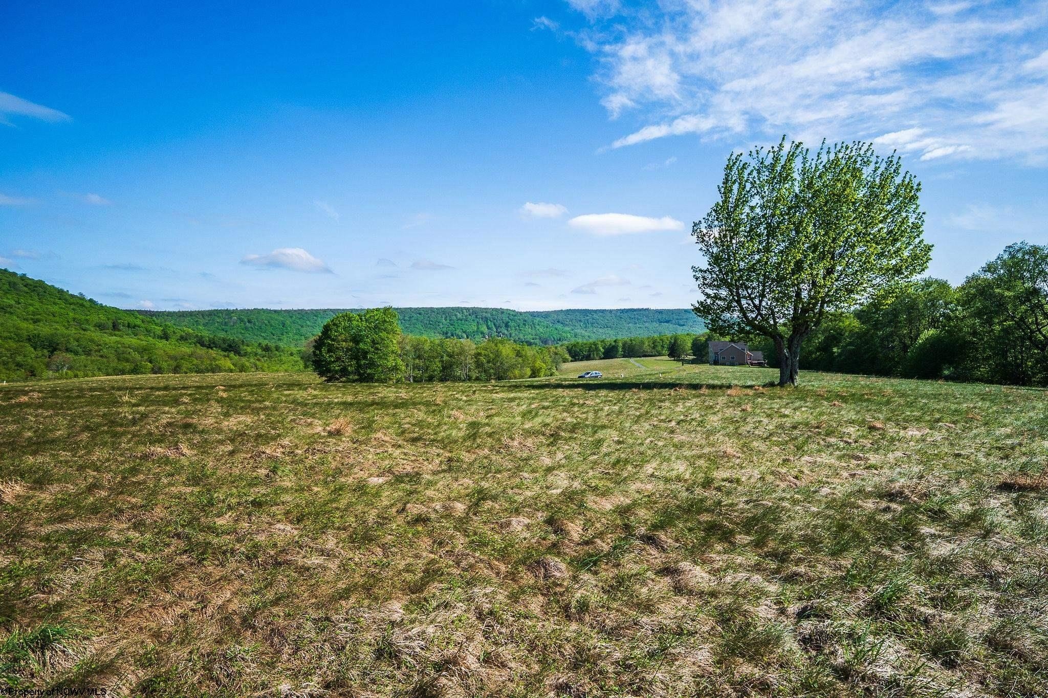 Other - Lot 7 High Meadow Drive, Davis, WV