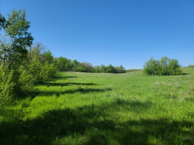 Other - 8 Waterfront Lots on Lake Hemming, Bottineau, ND