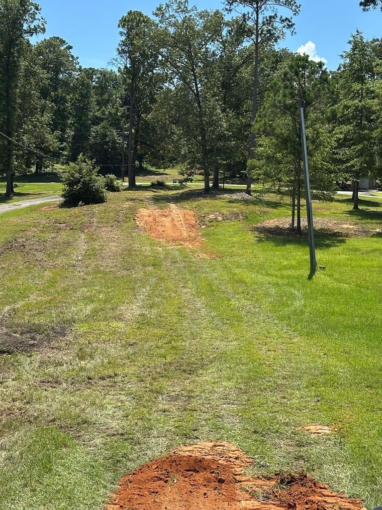 Single Family - 914 LAKESHORE DR, Abbeville, AL