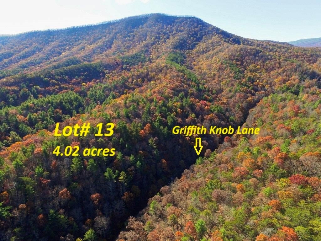Other - Griffith Knob Lane lot: 13, Wytheville, VA