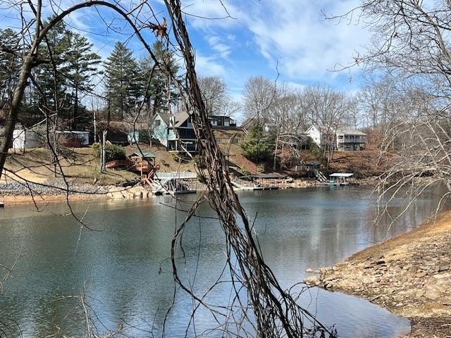 Other - Lot 5 Old Hwy 64 E, HAYESVILLE, NC